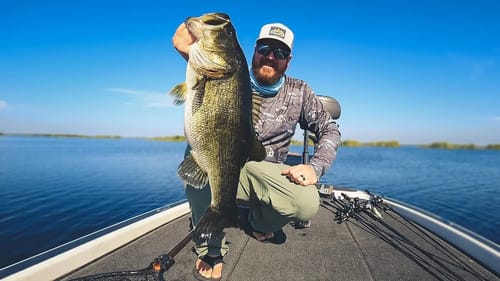 Prespawn Bass Fishing With Worms, Creature Baits, and Swimbaits - A Day On The Water