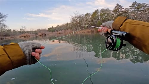 Fly Fishing for Trout with Mega Worms | Catch & Cook