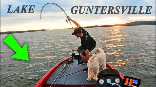 Fishing Lake GUNTERSVILLE for BIG BASS! (Catching MONSTERS)
