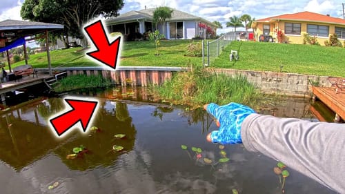 Where to FIND Spring Bass On the Bank (Right in front of You!!!)