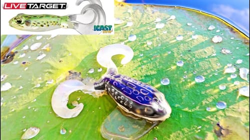 How To Fish The NEW FREESTYLE FROG By LIVETARGET Lures! Tips For Topwater Bass Fishing!