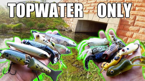 Topwater ONLY Bank Fishing Challenge!!! (MASSIVE Blow-ups)