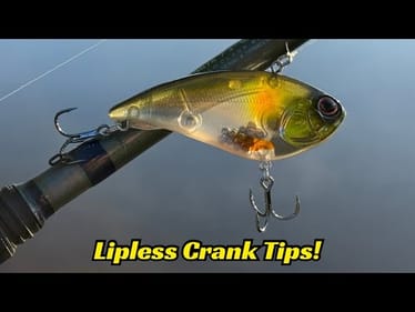 Few Anglers Know These Lipless Tips And They Will Make You A Much Better Angler!