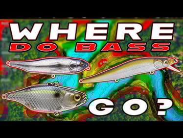 Where Do Bass Go In The Fall?! (And How To Catch Them)