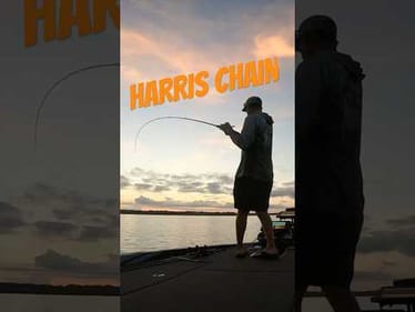 HIGHLIGHTS! Harris Chain Bass Fishing #shorts #bassfishing #harrischain