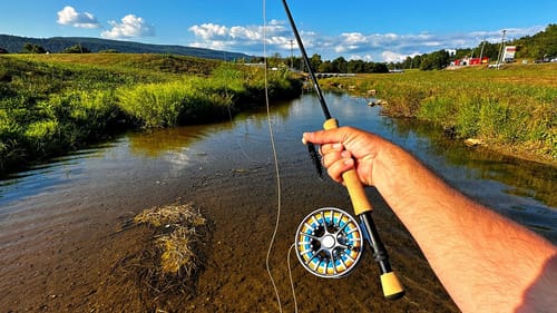 Urban Creek Fly Fishing for Bass