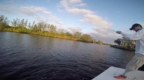 Backwater Brawl