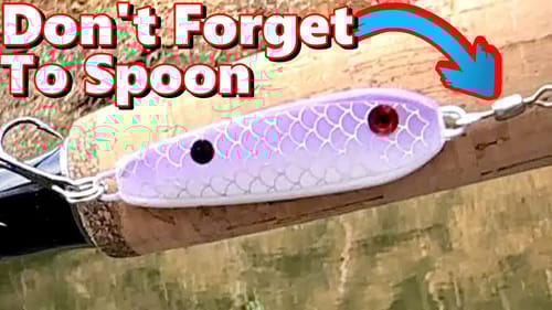You Should ALWAYS Spoon In The Winter