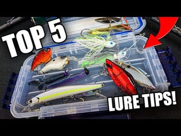 Top 5 Spring Bass Lures (Beginner Fishing TIPS)