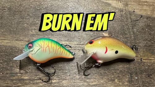 The Retrieve That Triggers Reaction Strikes In Summer Bass…