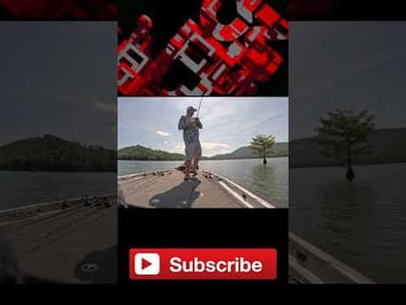 When Fishing Is Tough, This Can Save Your Day!