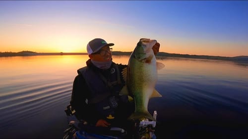 This Simple Lure/Technique Catches Giants!