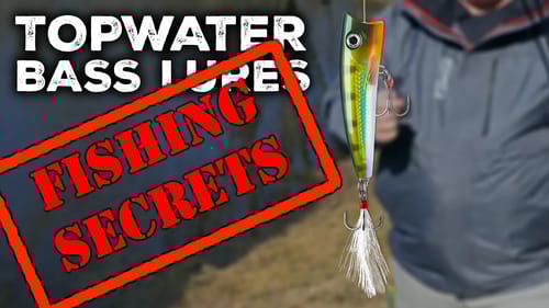 TOPWATER! The Most Exciting Bass Fishing | Best Easy How-To Tips for Beginners & New Anglers
