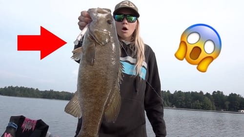 Limited Edition Megabass Jerkbait = SMALLMOUTH!!!