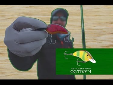 The Next Bait In The OG Line: Tiny!!!