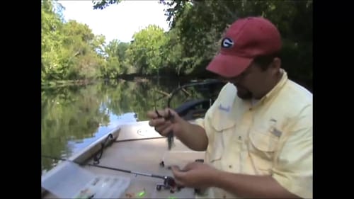 Tricks to make a Buzzbait catch bass