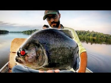MONSTER PIRANHA FISHING in the AMAZON!!