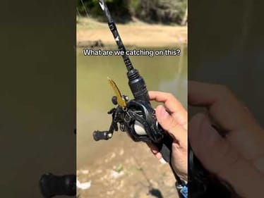 My secret bait! 😎 #fishing
