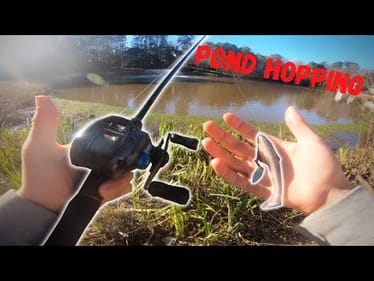 Finding BASS in neighborhood ponds (Pond Hopping)