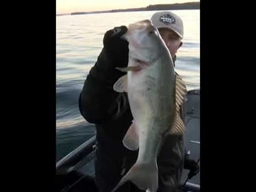 Goutremout's 4 pounder at Clarks Hill