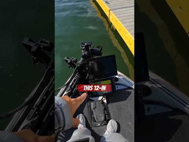 Full breakdown of my ​⁠@Garmin setup 🎣 #BassUnion #LiveScope #GarminSponsoredPro