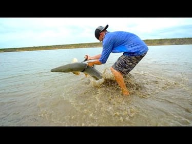 Wrestling GIANT Dinosaur River Fish