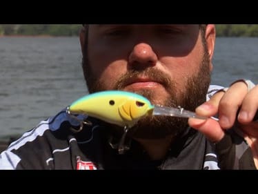 Top 5 Baits for July Bass Fishing | Bass Fishing