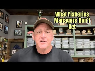 What Fisheries Managers And Biologists Don’t Understand About Bass Fishing