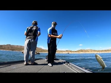 Coaching A High School Bassmasters Team At Bartlett Lake