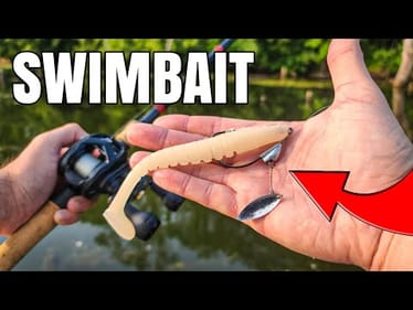 I Regret NOT Tying This on SOONER! (Summer Swimbait Fishing)