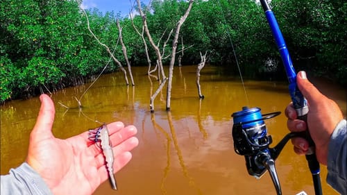 BIG Fish Destroy this Lure While Fishing in Secret Saltwater Lagoon