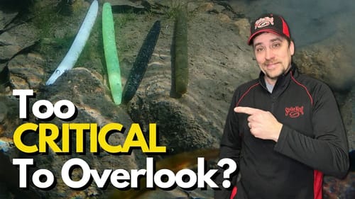 Every Bass Angler Needs to Consider This