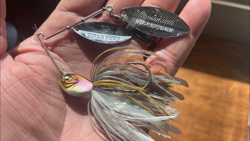 The “Live Bait” Spinnerbait That’s Going Viral