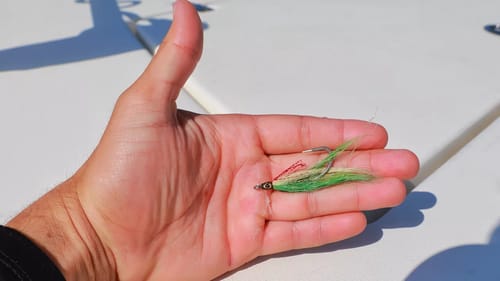 This Tiny Lure Caught my New PB