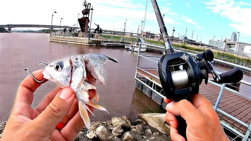 URBAN Fishing for RIVER MONSTERS!!! --Not what I Expected!