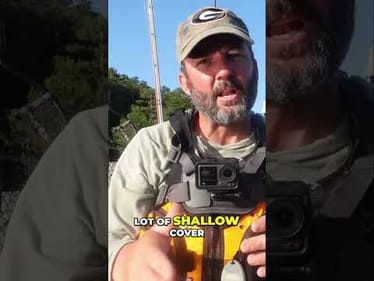 Unlock Summer Bass Fishing Secrets: Shallow Water Baits Revealed!