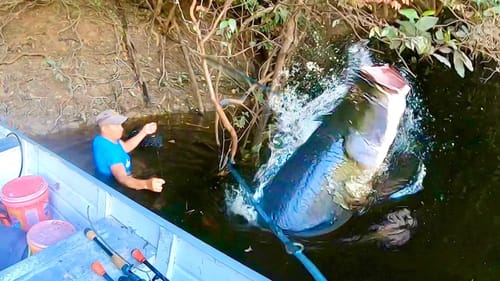 400 LB MONSTER is STUCK IN A TREE!! (INSANE)