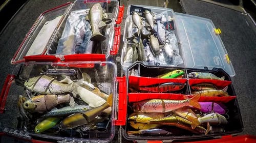 Swimbait Box Tour | Which Swimbaits Really Catch Fish?