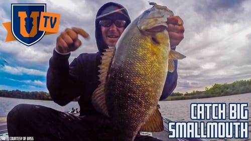 Catch Big Smallmouth Bass in Fall & Winter