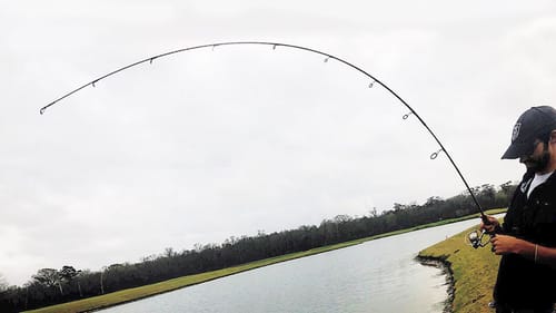 The FIRST TOPWATER FISH of the YEAR!