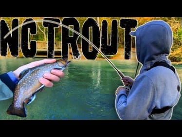 FLY FISHING The Most INSANE Creek Loaded W/ Trout || Ep 1