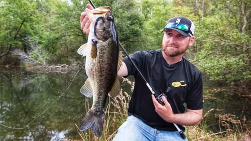 Bank Fishing Ponds for Bass