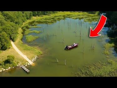 What’s Living In This Backwoods Flooded Pond?