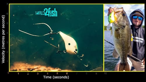 5 Tips to Boost Deep Cranking Success for Summer Bass