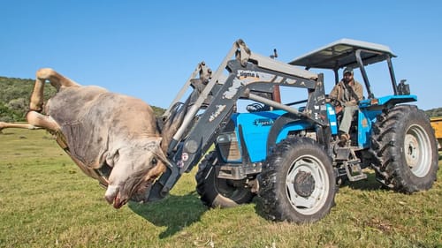 Hunting World's Largest Antelope