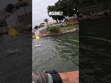 The Most Insane Topwater Blowup Ever!!!