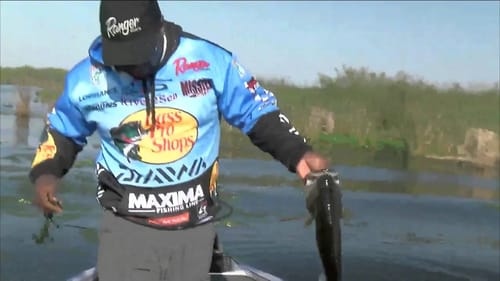 Ish Monroe catches a 4 on a Frog BASS Live www.bassmaster.com