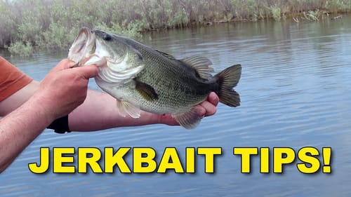 Proven Bass Fishing Jerkbait Tips With Hank Parker | Bass Fishing
