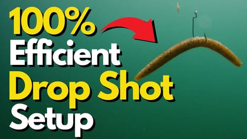 Discover the POWER of the Wacky Drop Shot