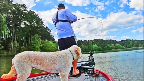 Fishing SQUAREBILLS and CHATTERBAITS on Lake Guntersville!